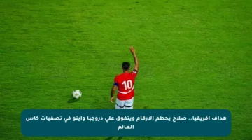 هداف إفريقيا.. صلاح يحطم الأرقام ويتفوق على دروجبا وإيتو في تصفيات كأس العالم